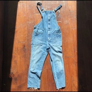 Madewell Skinny Overalls in Jansing Wash